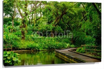 Lienzo Bosque verde con pasarela de madera y lago
